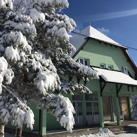 Vila Premijer Divčibare Kültér fotó
