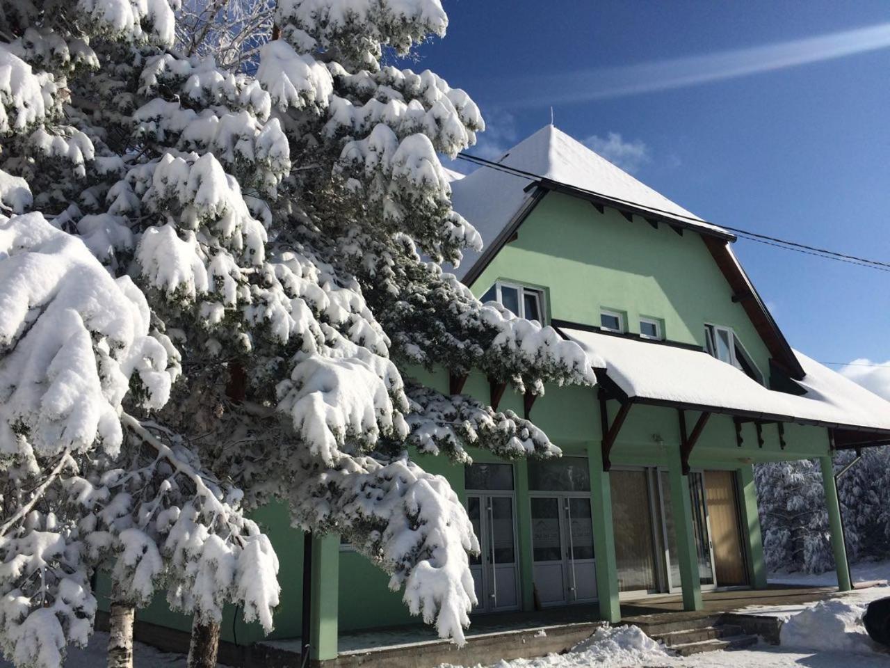 Vila Premijer Divčibare Kültér fotó